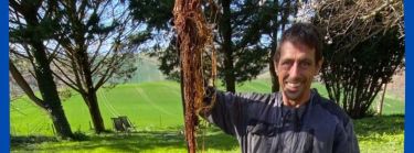 notre expert Sébastien a relevé un défi de taille en extrayant d'énormes racines qui obstruaient les canalisations